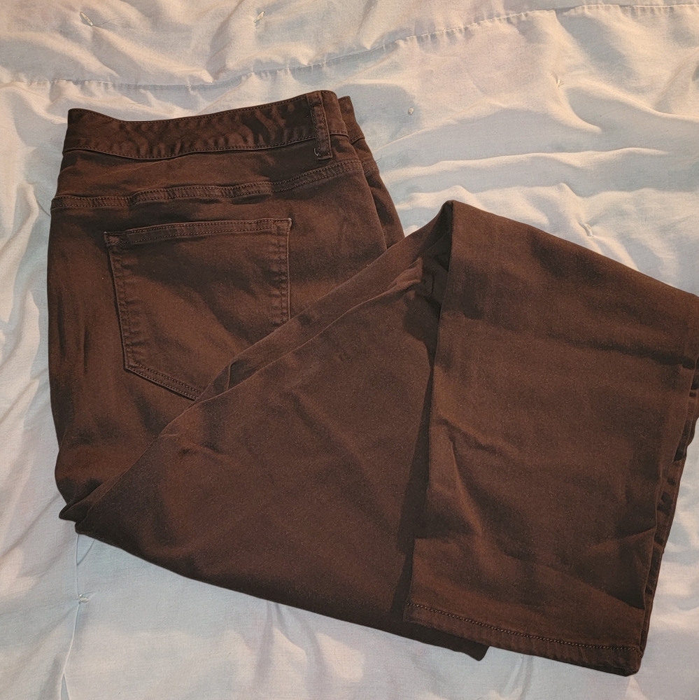 Plus size Brown Skinny Jeans